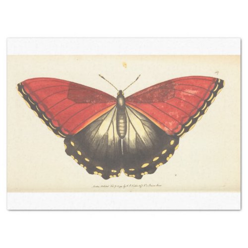 Vintage Ephemera Red Butterfly Moth Decoupage Tissue Paper
