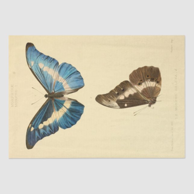 Vintage Ephemera Script Blue Butterfly Decoupage Tissue Paper (Front)