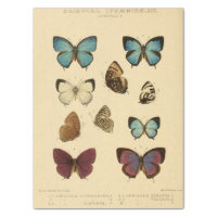 Vintage Ephemera Script Blue Butterfly Decoupage Tissue Paper