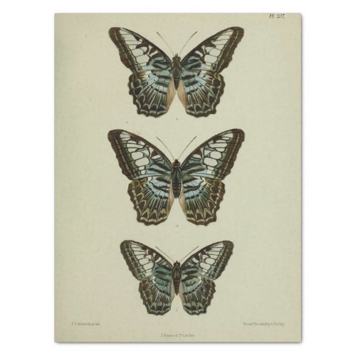 Vintage Ephemera Script Blue Butterfly Decoupage Tissue Paper