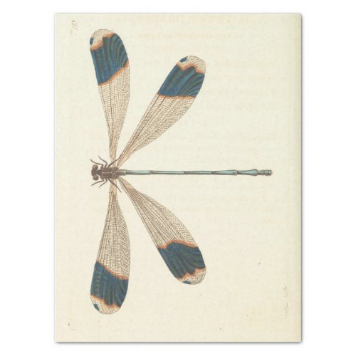 Vintage Ephemera Script Dragonfly Decoupage Tissue Paper