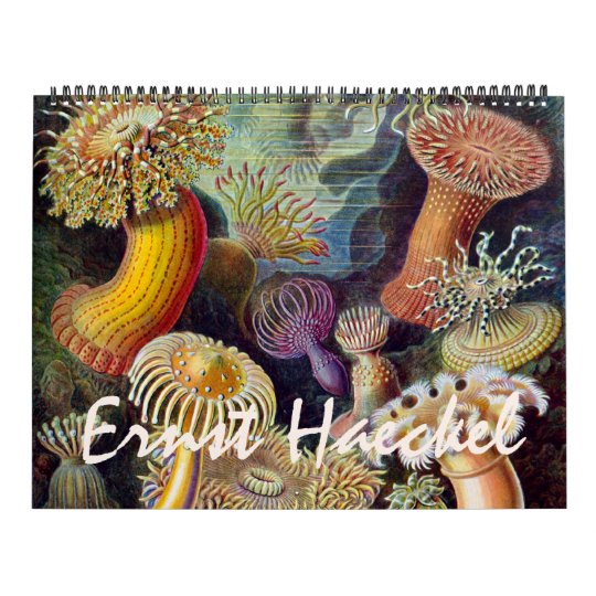 Vintage Ernest Haeckel, Biology, Botany, Science Calendar Zazzle