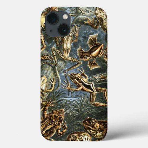 Vintage Ernest Haeckel Frogs Print iPhone 13 Case