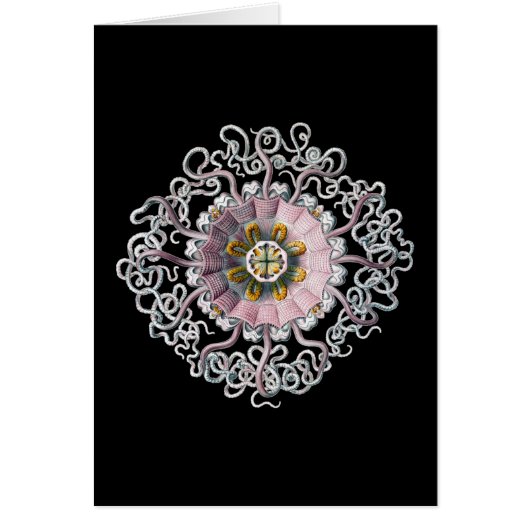 Vintage Ernst Haeckel (Front)