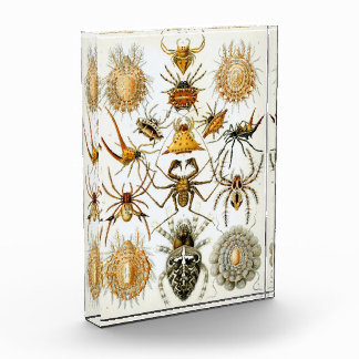 Vintage Ernst Haeckel Award