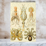Vintage Ernst Haeckel, Biology, Botany, Science Ca Calendar<br><div class="desc">12 month calendar featuring vintage illustrations by Ernst Haeckel. Great gift for science nerds and geeks! From Marine biology to botany and beyond! Includes nature scenes with animals, creepy spiders, tropical plants, flowers and orchids from the rainforests, aquatic life, sea anemones, sea slugs, jellyfish, turtles, tortoises, lizards, frogs, seashells, octopi,...</div>