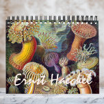 Vintage Ernst Haeckel, Biology, Botany, Science Calendar<br><div class="desc">12 month calendar featuring vintage illustrations by Ernst Haeckel. Great gift for science nerds and geeks! From Marine biology to botany and beyond! Includes nature scenes with animals, creepy spiders, tropical plants, flowers and orchids from the rainforests, aquatic life, sea anemones, sea slugs, jellyfish, turtles, tortoises, lizards, frogs, seashells, octopi,...</div>
