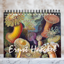 Vintage Ernst Haeckel, Biology, Botany, Science Calendar