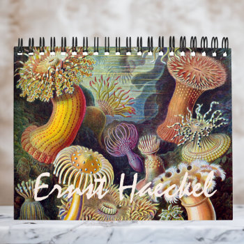 Vintage Ernst Haeckel  Biology  Botany  Science Calendar by Ernst_Haeckel_Art at Zazzle