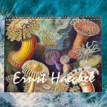 Vintage Ernst Haeckel, Biology, Botany, Science Calendar<br><div class="desc">12 month calendar featuring vintage illustrations by Ernst Haeckel. Great gift for science nerds and geeks! From Marine biology to botany and beyond! Includes nature scenes with animals, creepy spiders, tropical plants, flowers and orchids from the rainforests, aquatic life, sea anemones, sea slugs, jellyfish, turtles, tortoises, lizards, frogs, seashells, octopi,...</div>