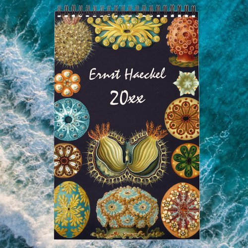 Vintage Ernst Haeckel Biology Botany Science Calendar