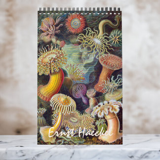 Vintage Ernst Haeckel, Biology, Botany, Science Calendar