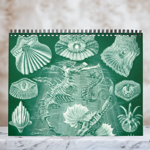 Vintage Ernst Haeckel, Biology, Botany, Science Calendar