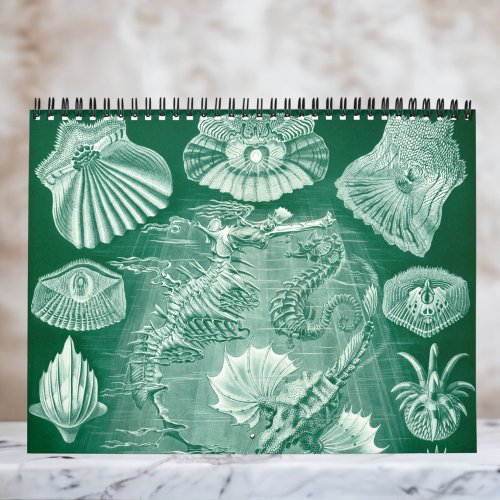 Vintage Ernst Haeckel Biology Botany Science Calendar