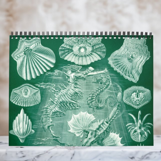 Vintage Ernst Haeckel, Biology, Botany, Science Calendar (Ernst Haeckel Wall Calendar)