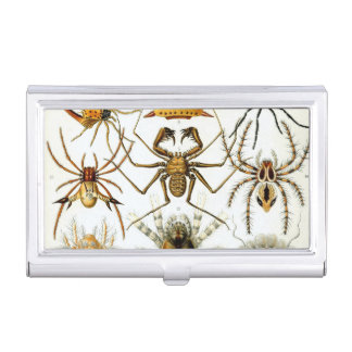 Vintage Ernst Haeckel Business Card Case