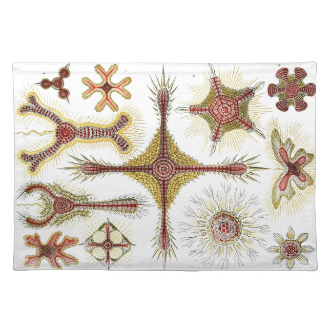 Vintage Ernst Haeckel Cloth Placemat (Front)