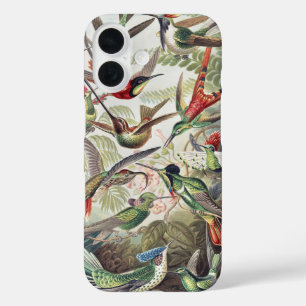 Vintage Ernst Haeckel Colorful Hummingbird Poster iPhone 16 Case