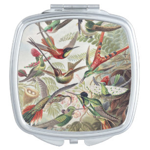 Vintage Ernst Haeckel Colorful Hummingbird Poster Compact Mirror