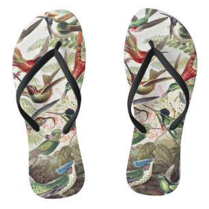 Vintage Ernst Haeckel Colorful Hummingbird Poster Flip Flops