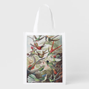 Vintage Ernst Haeckel Colorful Hummingbird Poster Grocery Bag