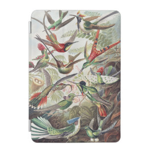 Vintage Ernst Haeckel Colorful Hummingbird Poster iPad Mini Cover