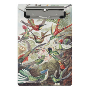 Vintage Ernst Haeckel Colorful Hummingbird Poster Mini Clipboard