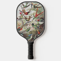 Vintage Ernst Haeckel Colorful Hummingbird Poster