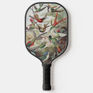 Vintage Ernst Haeckel Colorful Hummingbird Poster Pickleball Paddle