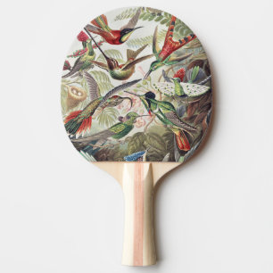 Vintage Ernst Haeckel Colorful Hummingbird Poster Ping Pong Paddle