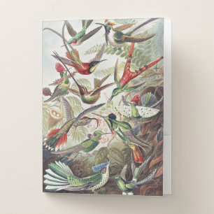 Vintage Ernst Haeckel Colorful Hummingbird Poster Pocket Folder