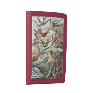 Vintage Ernst Haeckel Colorful Hummingbird Poster Tri-fold Wallet