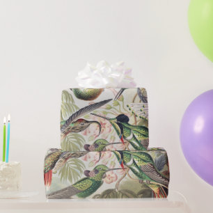 Vintage Ernst Haeckel Colorful Hummingbird Poster Wrapping Paper