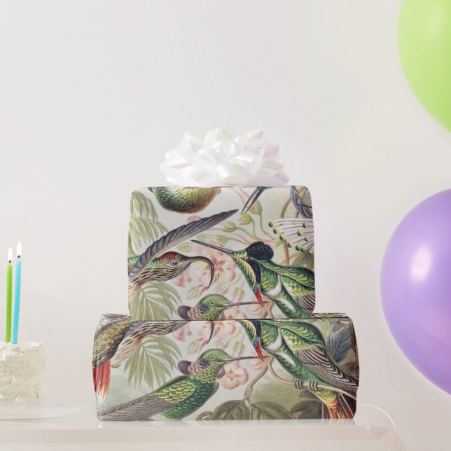 Vintage Ernst Haeckel Colorful Hummingbird Poster Wrapping Paper (Party Gifts)