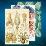 Vintage Ernst Haeckel Marine Life Designs Wrapping Paper Sheets<br><div class="desc">Vintage illustration marine life biology designs by Ernst Haeckel. Sheet 1: A variety of giant squid and octopi animals commonly found in the ocean waters. Sheet 2: A variety of colorful jellyfish animals swimming in the waters of the sea. Jelly fish are free swimming aquatic animals with an umbrella shaped...</div>