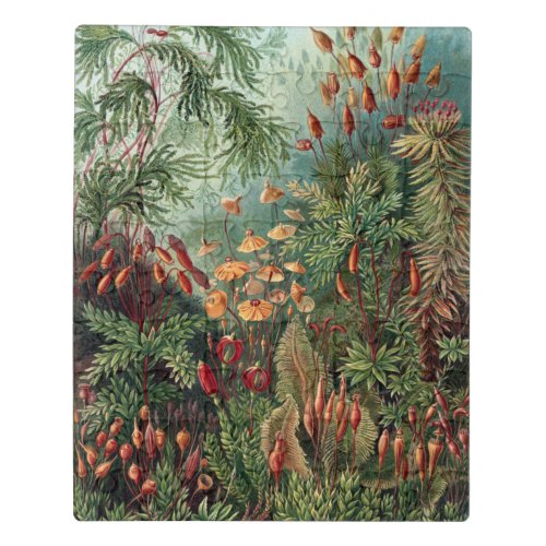 Vintage Ernst Haeckel Moss Poster Jigsaw Puzzle