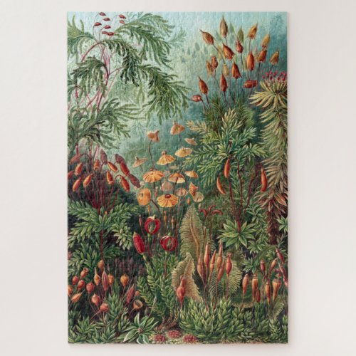 Vintage Ernst Haeckel Moss Poster Jigsaw Puzzle