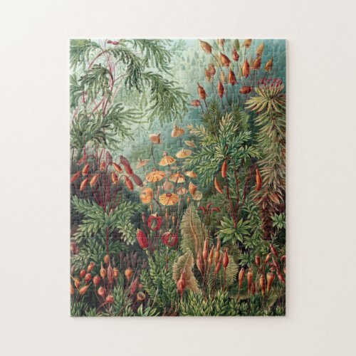 Vintage Ernst Haeckel Moss Poster Jigsaw Puzzle