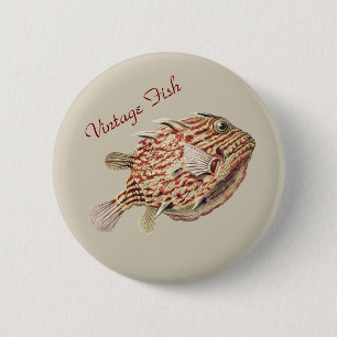 Vintage Ernst Haeckel Nautical Red Boxfish Art Button