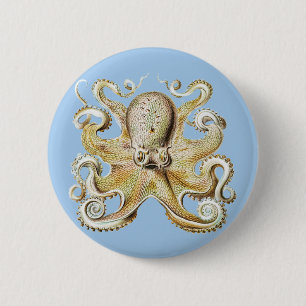 Vintage Ernst Haeckel Octopus Nautical Sea Life Button