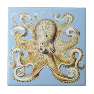 Vintage Ernst Haeckel Octopus Nautical Sea Life Ceramic Tile