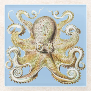 Vintage Ernst Haeckel Octopus Nautical Sea Life Glass Coaster