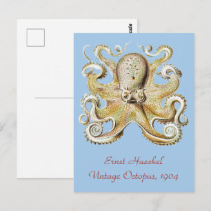 Vintage Ernst Haeckel Octopus Nautical Sea Life Postcard