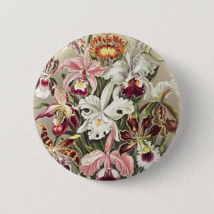 Vintage Ernst Haeckel Orchid Botanical Print Button