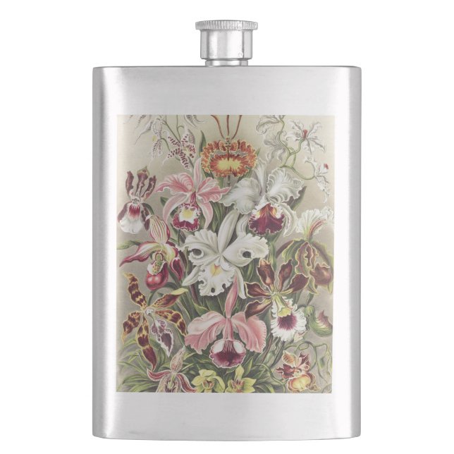 Vintage Ernst Haeckel Orchid Botanical Print Flask (Front)
