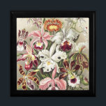 Vintage Ernst Haeckel Orchid Botanical Print Gift Box<br><div class="desc">Elevate your space with this Vintage Ernst Haeckel Orchid Botanical Print, a masterpiece of scientific elegance. Originally curated by Ernst Haeckel for his 1904 classic "Kunstformen der Natur", this intricate illustration showcases the breathtaking diversity of Orchideae in a vibrant, symmetrical garden layout. The lush white Cattleya and delicate colorful petals...</div>