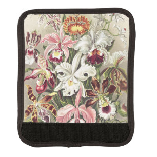 Vintage Ernst Haeckel Orchid Botanical Print Luggage Handle Wrap