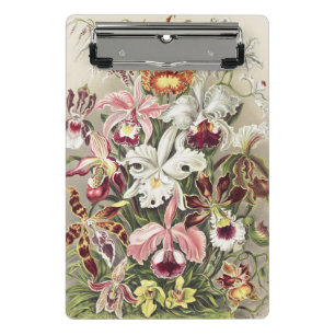 Vintage Ernst Haeckel Orchid Botanical Print Mini Clipboard