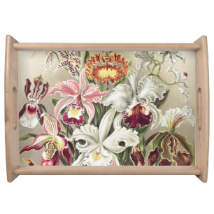 Vintage Ernst Haeckel Orchid Botanical Print Serving Tray