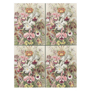 Vintage Ernst Haeckel Orchid Botanical Print Tablecloth